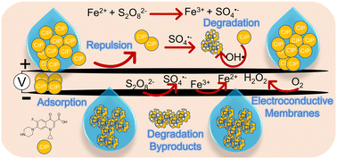 Graphical abstract: Persulfate enhanced ciprofloxacin removal from water by laser-induced graphene-based electroconductive ultrafiltration membrane