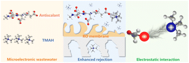 Graphical abstract: Exploring the electrostatic interaction mechanism of polyaspartic acid in improving the rejection of tetramethylammonium hydroxide by reverse osmosis membranes