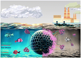 Graphical abstract: Sustainable high-efficiency removal of cationic and anionic dyes using new super adsorbent biochar: performance, isotherm, kinetic and thermodynamic evaluation