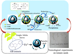 Graphical abstract: Efficient elimination of Cr(vi) in groundwater using nano zero-valent iron synthesized with Ginkgo biloba extracts: enhanced mechanism and reduced toxicity