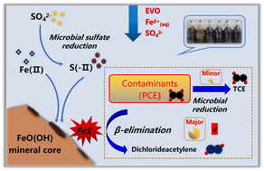Graphical abstract: Effect of enhanced biogeochemical transformation of tetrachloroethylene by EVO–FeSO4 and its transport characteristics in aquifers