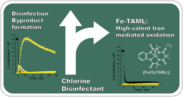 Graphical abstract: Curbing chlorine disinfection byproduct formation with a biomimetic FeTAML oxidation catalyst