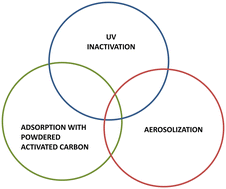 Graphical abstract: Characterizing Bacillus globigii as a Bacillus anthracis surrogate for wastewater treatment studies and bioaerosol emissions