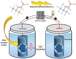 Graphical abstract: Electrochemical degradation of a C6-perfluoroalkyl substance (PFAS) using a simple activated carbon cathode