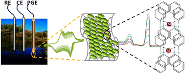 Graphical abstract: Simultaneous determination of Cd and Pb in the environment using a pencil graphite electrode modified with polyaniline/graphene oxide nanocomposite