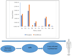 Graphical abstract: Risk assessment of heavy metals in soil and simultaneous monitoring in wheat irrigated with groundwater and treated wastewater and its long-term effects for residents of adjacent regions