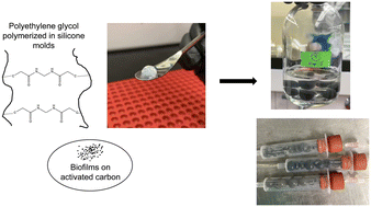 Graphical abstract: Polyethylene glycol as a robust, biocompatible encapsulant for two-stage treatment of food and beverage wastewater