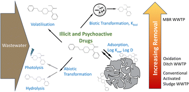 Graphical abstract: Removal mechanisms of illicit and psychoactive drugs in different wastewater treatment processes