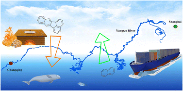 Graphical abstract: Sources and ecological risk of polycyclic aromatic hydrocarbons in water and air of the Yangtze River