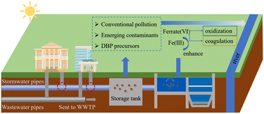 Graphical abstract: Simultaneous mitigation of multiple pollutants in urban stormwater systems illicitly connected with wastewater systems by an Fe(vi)-based process