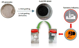 Graphical abstract: In situ green synthesis of copper(ii) oxide (CuO) and maleic anhydride grafted polypropylene (PP-MAH) for highly efficient nanocatalysis in tannery wastewater treatment