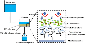 Graphical abstract: Improved stable flux and antifouling properties of a PSF gravity-driven membrane by blending with hydrophilic functionalized mesoporous silicon