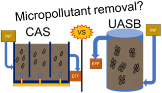 Graphical abstract: Differential biotransformation of micropollutants in conventional activated sludge and up-flow anaerobic sludge blanket processes