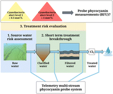 Graphical abstract: Evidence-based framework to use in situ phycocyanin readings for cyanobacterial risk assessment within drinking water treatment plants