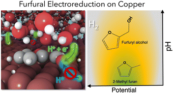 Graphical abstract: Unraveling the reaction mechanisms for furfural electroreduction on copper