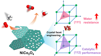 Graphical abstract: Crystal facet engineering of spinel NiCo2O4 with enhanced activity and water resistance for tuneable catalytic methane oxidation