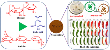 Graphical abstract: Fabrication of novel gallic acid functionalized chitosan/pullulan active bio-films for the preservation and shelf-life extension of green chillies