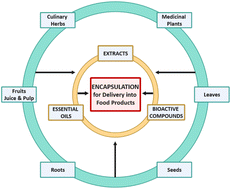 Graphical abstract: Current status and future prospects of bioactive molecules delivered through sustainable encapsulation techniques for food fortification