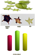 Graphical abstract: Study on drying kinetics, antioxidant activity, total bioactive compounds, physicochemical properties and microstructural characteristics of dehydrated star fruits (Averrhoa carambola) by different drying methods