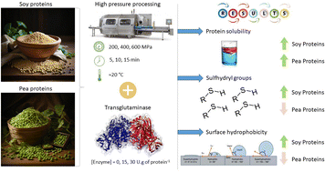 Graphical abstract: Effects of high-pressure and transglutaminase, individually and simultaneously applied, on pea and soy protein isolates