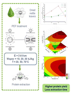 Graphical abstract: Pulsed electric field assisted extraction of soluble proteins from nettle leaves (Urtica dioica L.): kinetics and optimization using temperature and specific energy