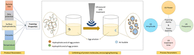 Graphical abstract: Sonication of egg and its effect on foaming behavior
