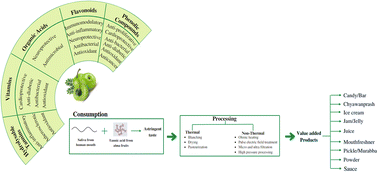 Graphical abstract: Thermal and nonthermal processing of an underutilized fruit Emblica officinalis (Amla): a sustainable approach