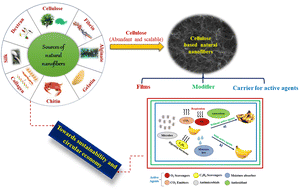 Graphical abstract: Cellulose-based natural nanofibers for fresh produce packaging: current status, sustainability and future outlook