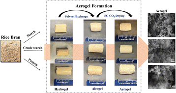 Graphical abstract: Formation of nanoporous aerogels from defatted rice bran via supercritical carbon dioxide drying