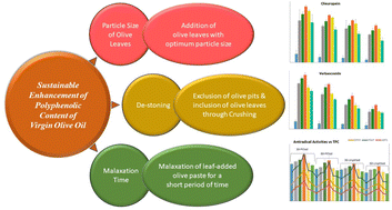 Graphical abstract: Comparative study of different particle sizes of added olive leaves for the content of target polyphenols in virgin olive oil