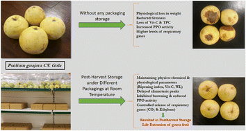 Graphical abstract: Storage stability assessment of guava fruit (Psidium guajava L.) cv. ‘Gola’ in response to different packaging materials
