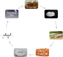 Graphical abstract: Development of sodium alginate–aloe vera hydrogel films enriched with organic fibers: study of the physical, mechanical, and barrier properties for food-packaging applications
