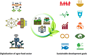 Graphical abstract: Digitalization of the agro-food sector for achieving sustainable development goals: a review