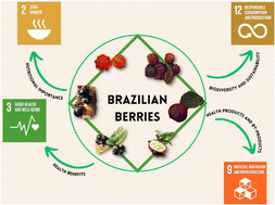 Graphical abstract: Potential of Brazilian berries in developing innovative, healthy, and sustainable food products