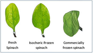 Graphical abstract: A comprehensive review on isochoric freezing: a recent technology for preservation of food and non-food items