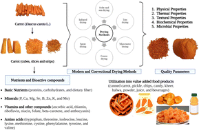 Graphical abstract: A comprehensive review on carrot (Daucus carota L.): the effect of different drying methods on nutritional properties and its processing as value-added foods