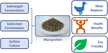 Graphical abstract: Mycoprotein: production and nutritional aspects: a review