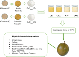 Graphical abstract: Application of rosin resin and zinc oxide nanocomposites to chitosan coatings for extending the shelf life of passion fruits