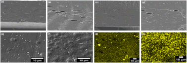 Graphical abstract: Starch-based edible packaging: rheological, thermal, mechanical, microstructural, and barrier properties – a review