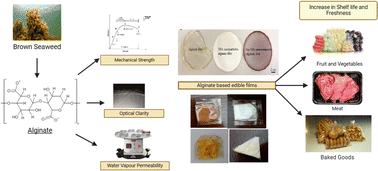 Graphical abstract: Recent advancements in alginate-based films for active food packaging applications