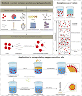 Graphical abstract: Modification of plant and algal proteins through the Maillard reaction and complex coacervation: mechanisms, characteristics, and applications in encapsulating oxygen-sensitive oils