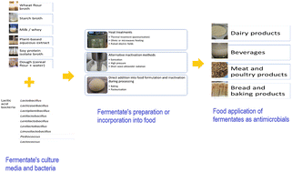 Graphical abstract: Antimicrobial activity and applications of fermentates from lactic acid bacteria – a review