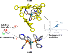 Graphical abstract: A substrate descriptor based approach for the prediction and understanding of the regioselectivity in caged catalyzed hydroformylation