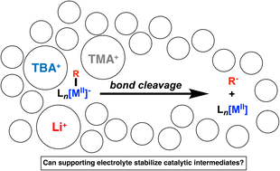 Graphical abstract: Exploring electrolyte effects on metal–alkyl bond stability: impact and implications for electrosynthesis