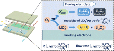 Graphical abstract: Dissolved LiO2 or adsorbed LiO2? The reactive superoxide during discharging process in lithium–oxygen batteries