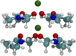 Graphical abstract: Insight into the K channel's selectivity from binding of K+, Na+ and water to N-methylacetamide