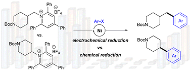 Graphical abstract: Primary vs. secondary alkylpyridinium salts: a comparison under electrochemical and chemical reduction conditions