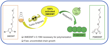 Graphical abstract: The unexpected fast polymerization during the synthesis of a glycolated polythiophene