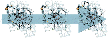 Graphical abstract: Harnessing conformational dynamics in enzyme catalysis to achieve nature-like catalytic efficiencies: the shortest path map tool for computational enzyme redesign