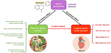 Graphical abstract: (Poly)phenol intake, plant-rich dietary patterns and cardiometabolic health: a cross-sectional study